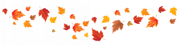 Полоска из осенних листочков