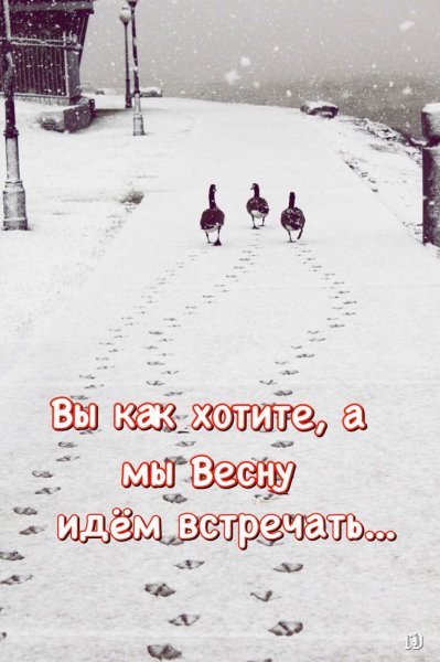 Про снег в апреле смешные