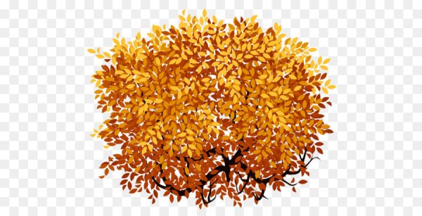 Осенние кусты на прозрачном фоне