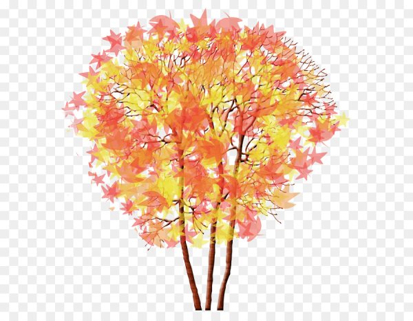 Осеннее дерево на прозрачном фоне