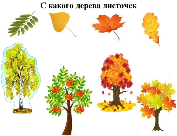 Игра с какого дерева лист