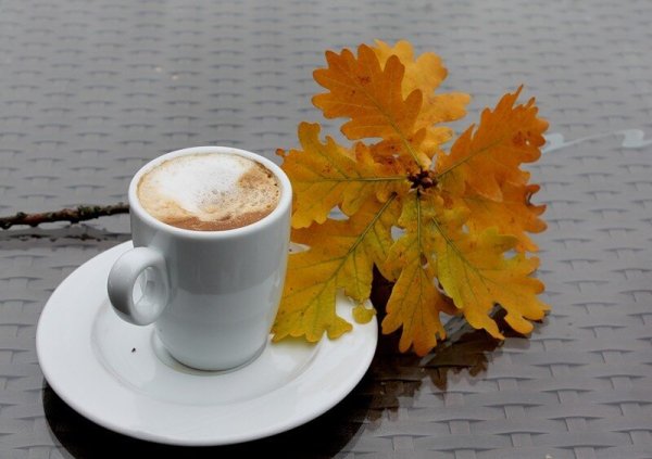 Доброе осеннее утро