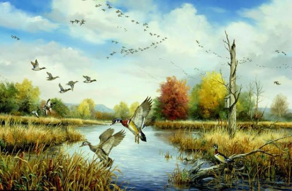 Пейзаж с птицами