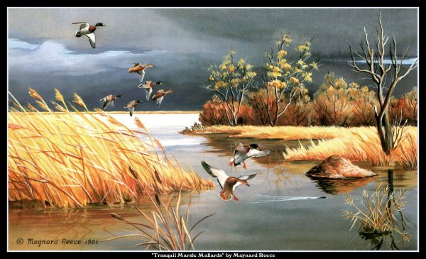 Перелетные птицы живопись