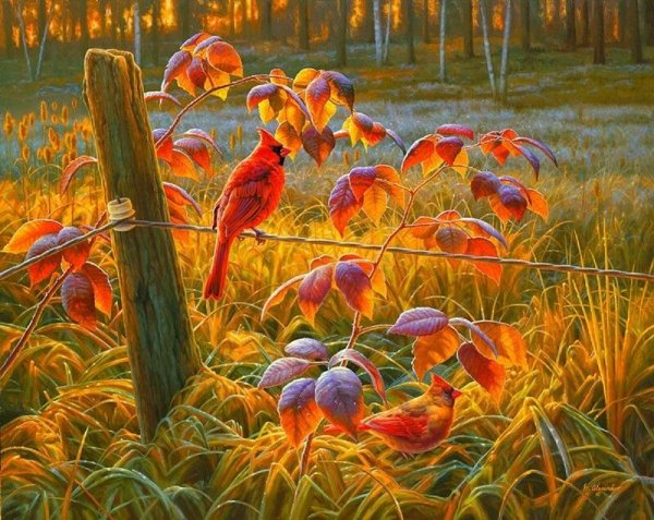 Картины художника анималиста Greg Alexander.