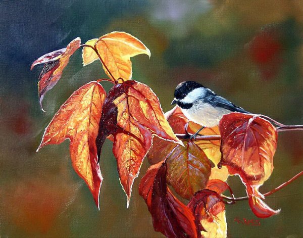 Птицы на картинах Эндрю кисса