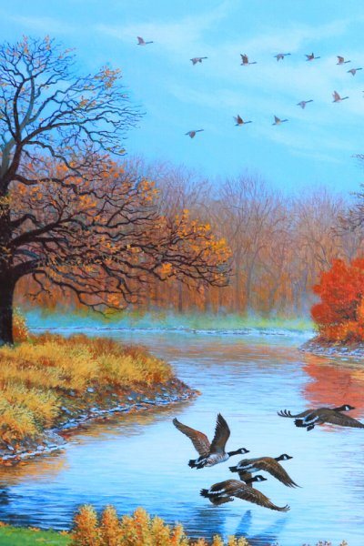 Птицы улетают на Юг