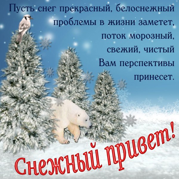 Снежной зимы пожелания