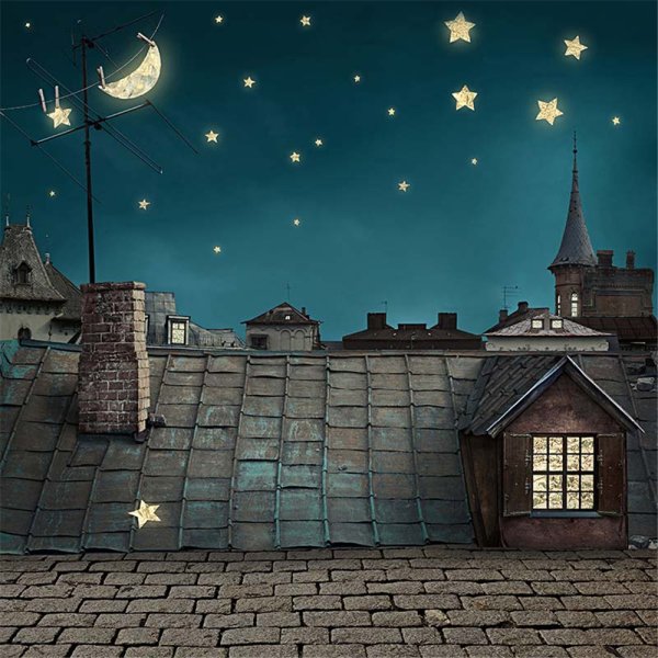 Крыши домов ночью