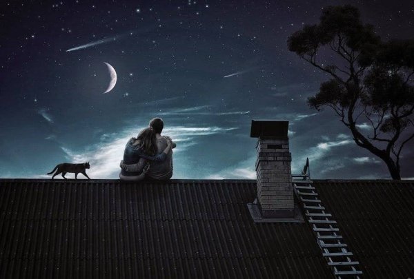 Крыша звезды