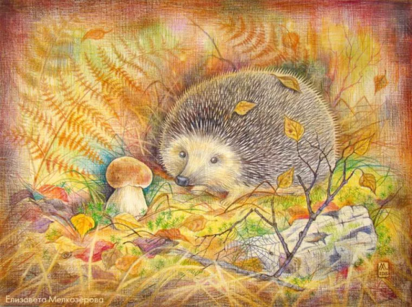 Художница Елизавета мелкозёрова Ежик