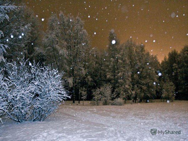 Тихий снегопад