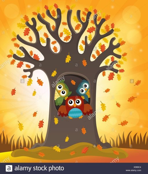 Осеннее дерево с дуплом