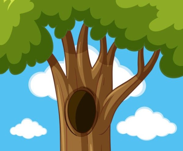 Дупло для детей