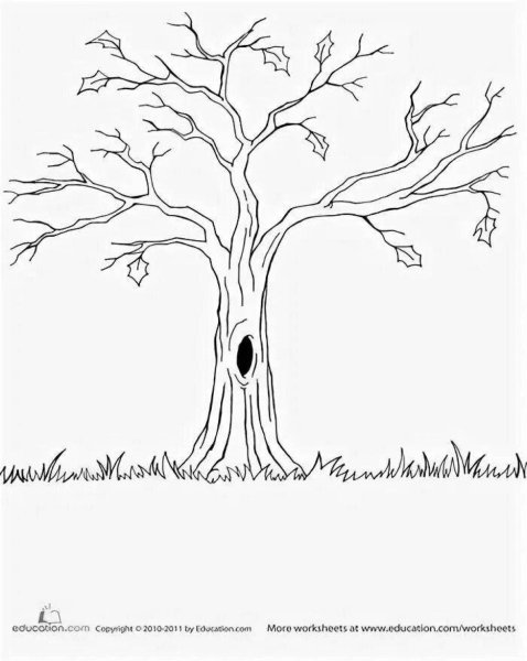 Дерево с дуплом трафарет