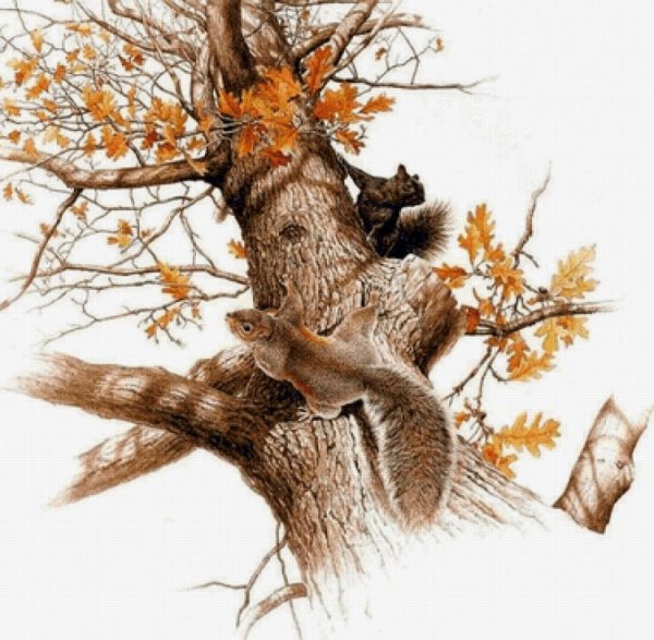 Осеннее дерево с дуплом