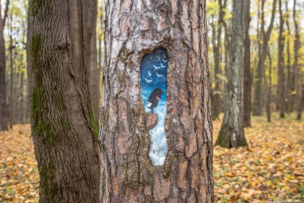 Измайловский парк картины на деревьях