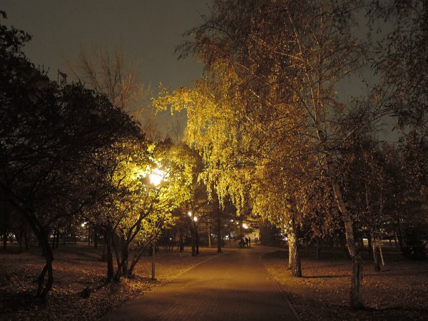 Вечерняя аллея город Салават