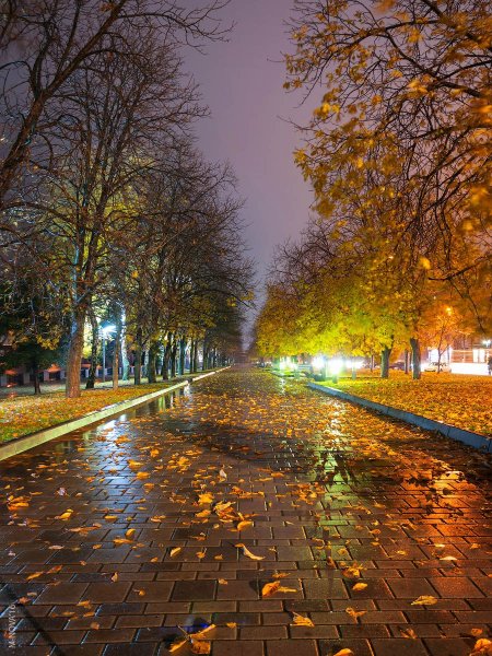 Осенний вечер в городе