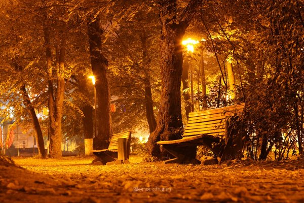 Осенний парк ночью