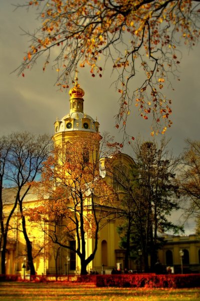 Золотая осень в СПБ Петроградка