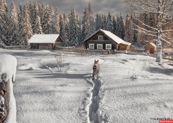 Зима в деревне