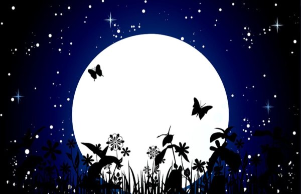 Окружающий мир ночью