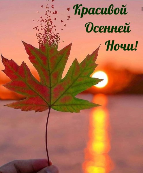 Доброй осенней ночи