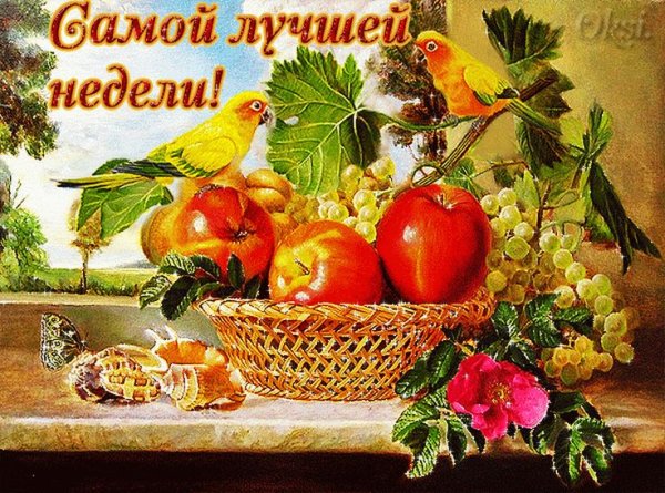 Хорошей последней недели осени!