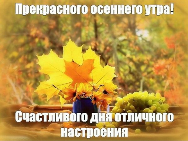 С добрым осенним утром понедельника