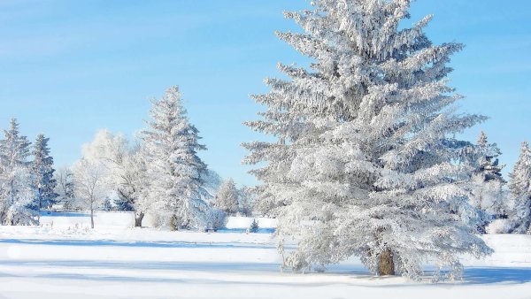 Красивая зима