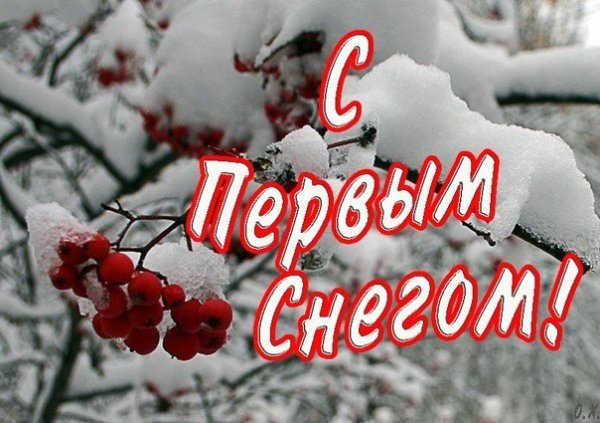 Открытки с первым снегом