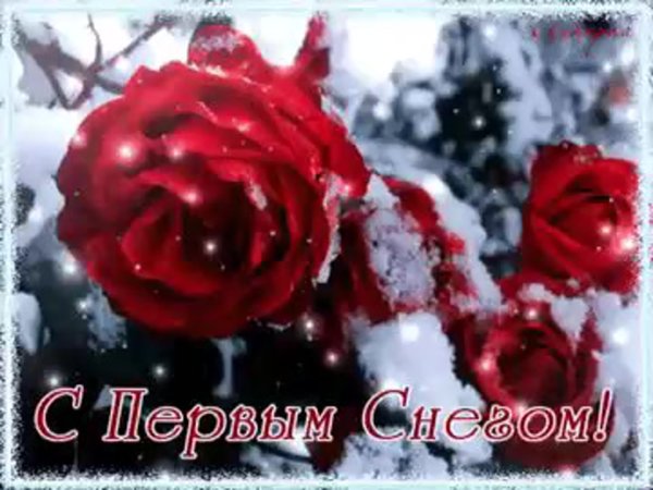 Первый снег