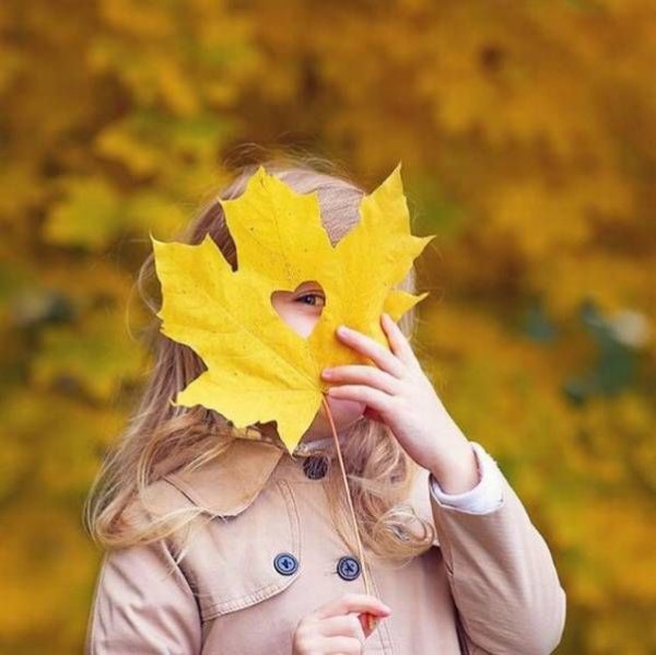 Осенние листья для детей