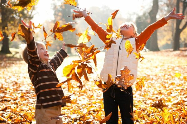 Осеннее веселье