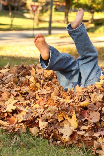 Осенняя листва