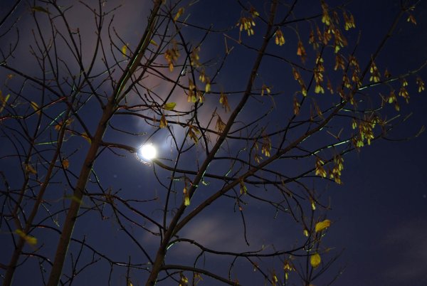 Ночное небо поздней осенью