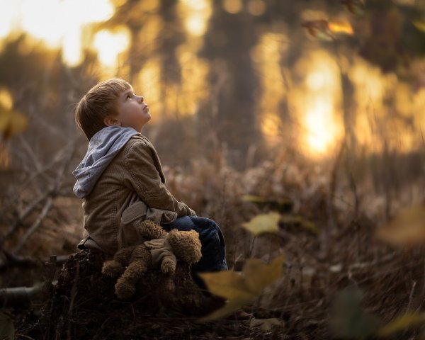 Маленький мальчик в лесу