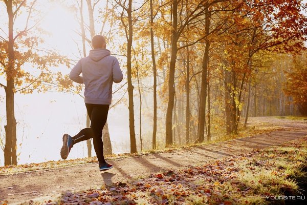 Прогулка в осеннем парке