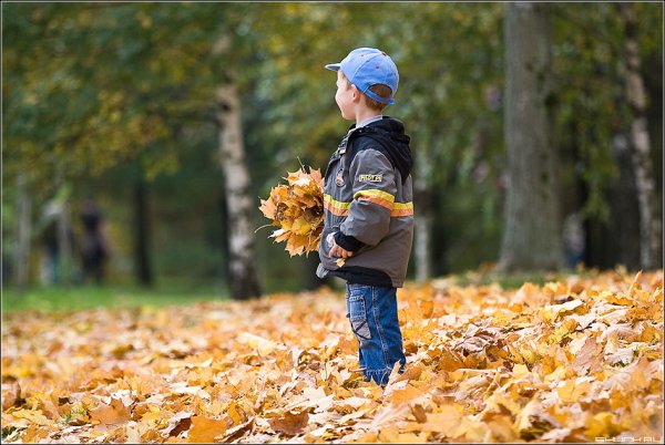 Дети в осеннем парке