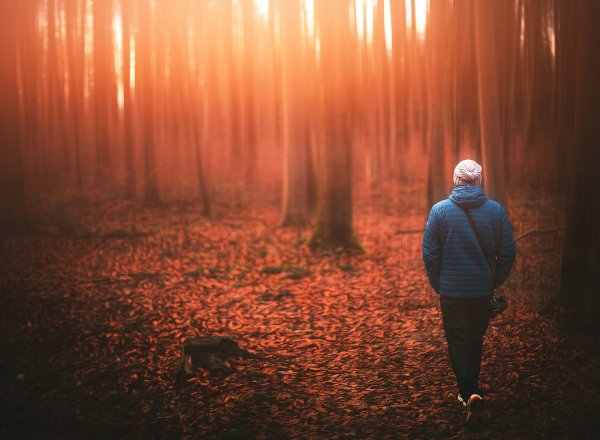 Парень в лесу