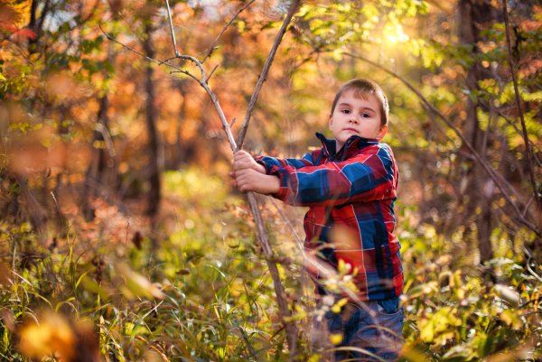 Мальчик в лесу