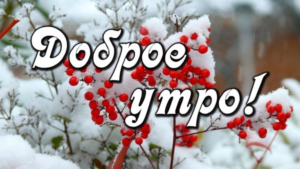 Открытки с первым снегом и добрым утром