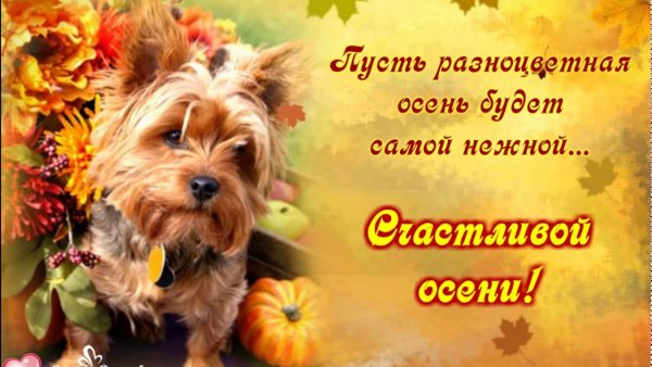 Счастливого дня осени