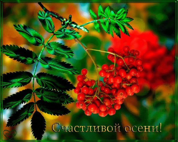 Красивой и счастливой осени