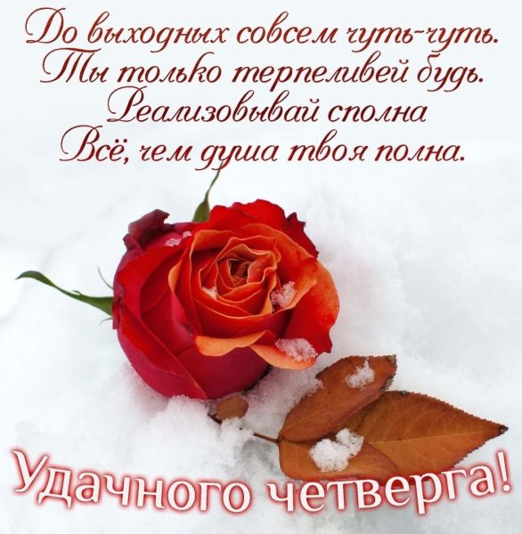 Удачного четверга и хорошего настроения