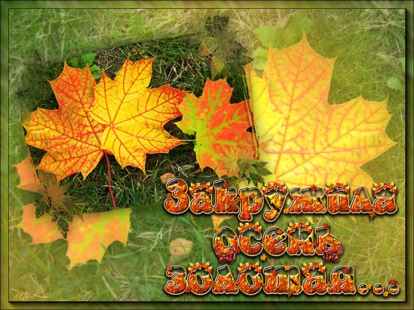 С добрым осенним утром понедельника