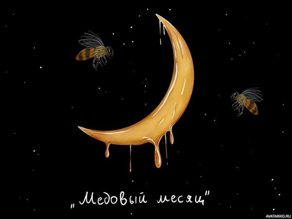 С медовым месяцем прикольные
