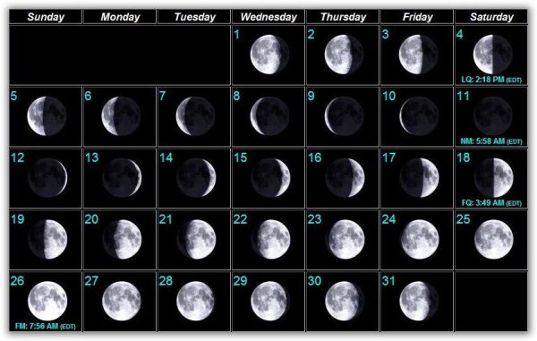 Лунный календарь обои