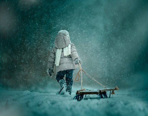 Мальчик на санках